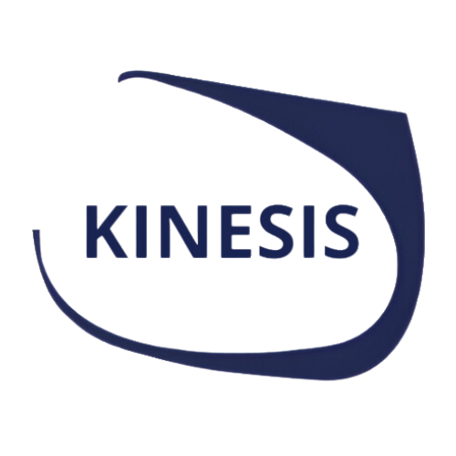 KINESIS CONSULTING